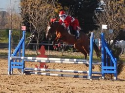 Chevaux